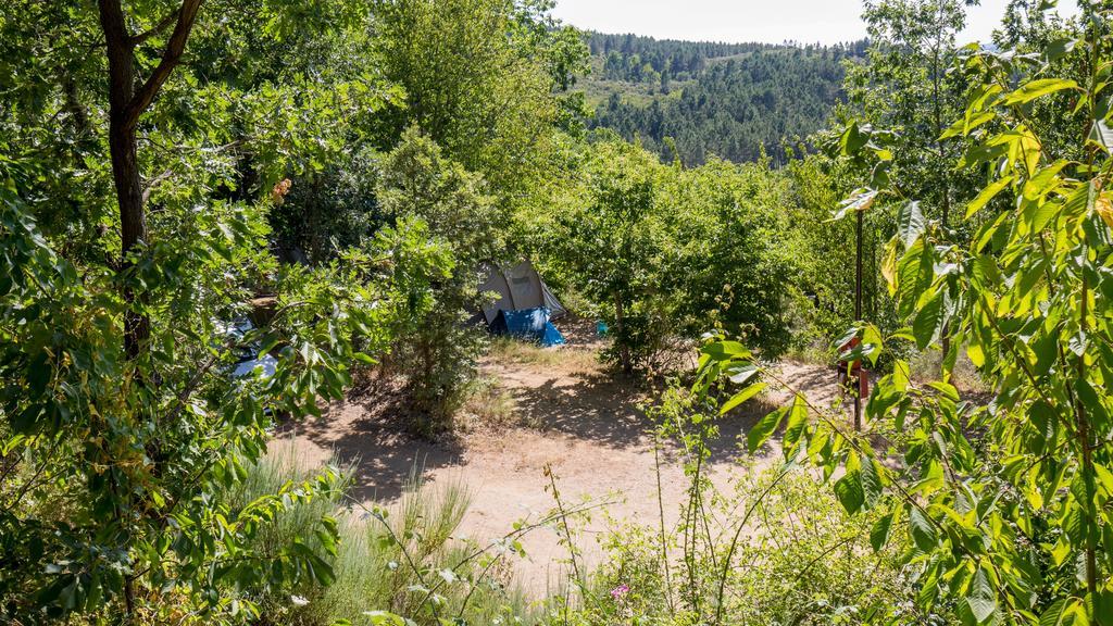 Cepo Verde Gondesende Exteriör bild